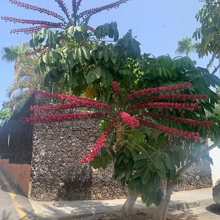 Casa Susanna Apartment Costa Del Silencio